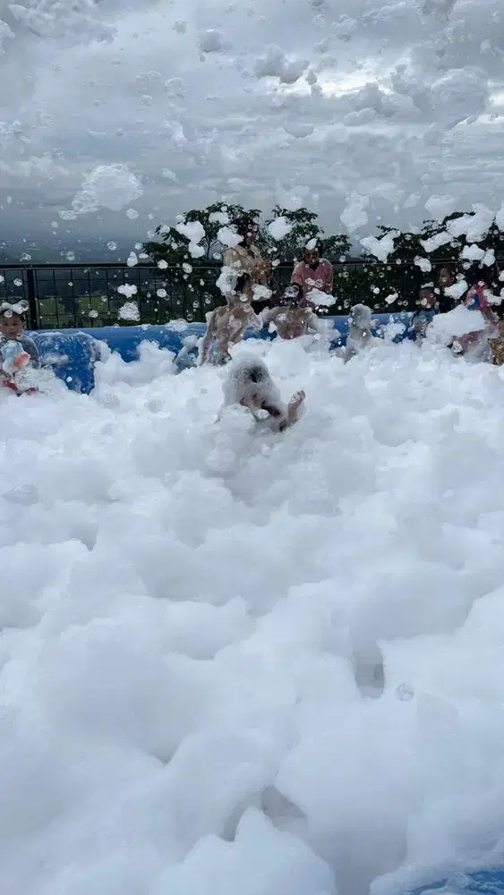 dicari art serabutan & momong anak