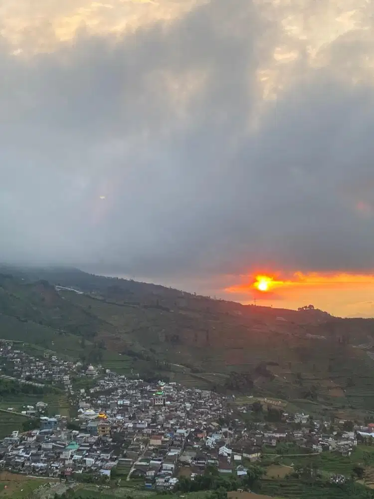 Lowongan supir pribadi