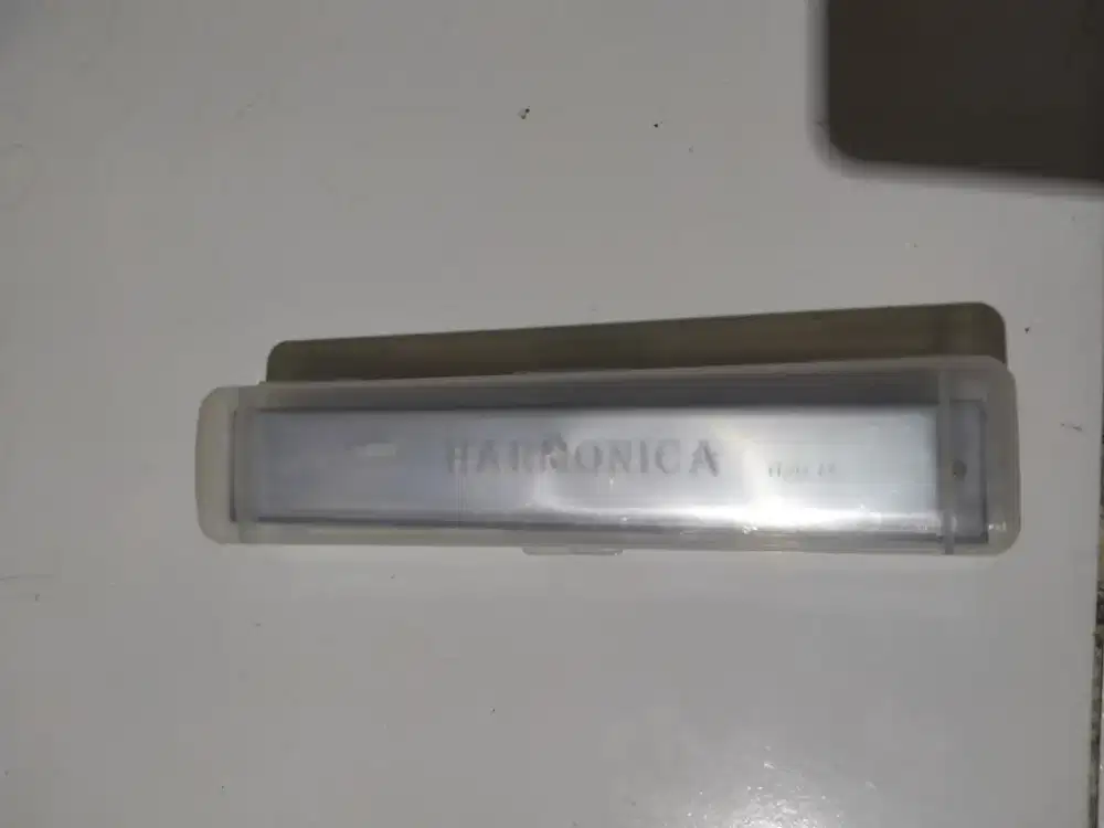 Harmonika 24 hole import new