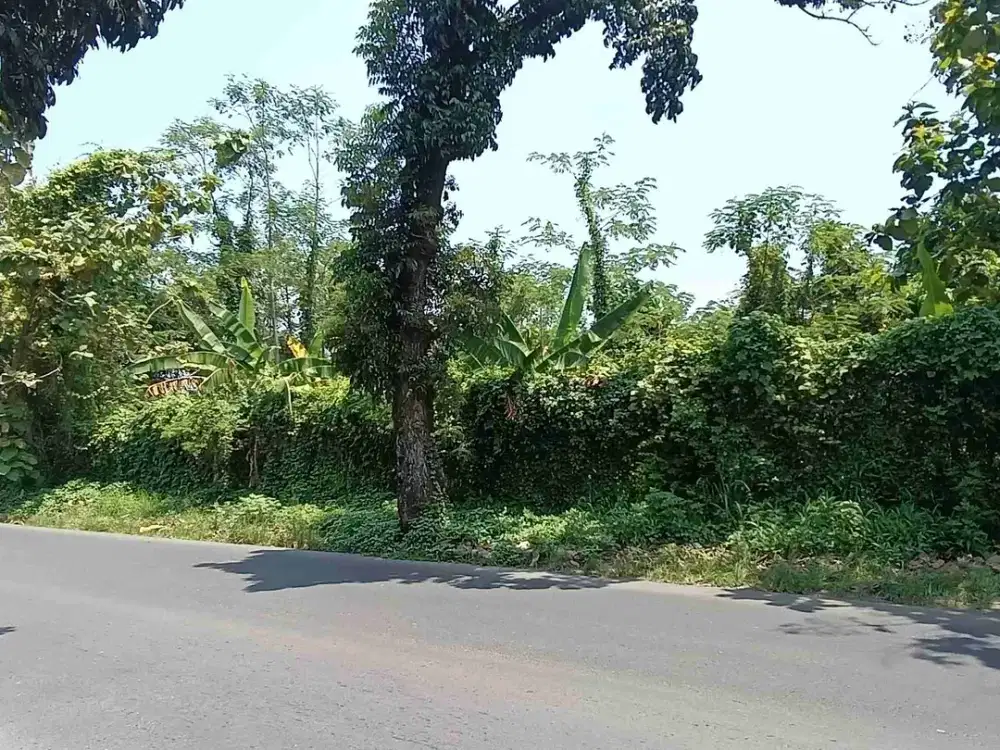 jual Tanah di Beringin Ngaliyan semarang