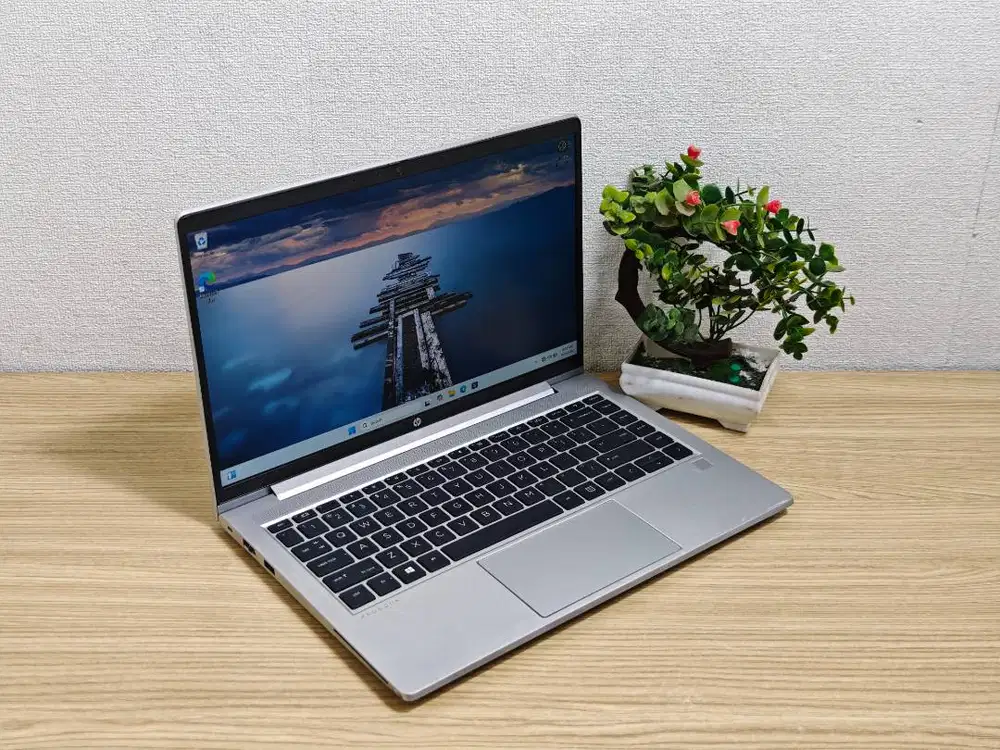 HP ProBook 445 G8 Ryzen 5 RAM 8GB Laptop Desain Editing Murah No Minus