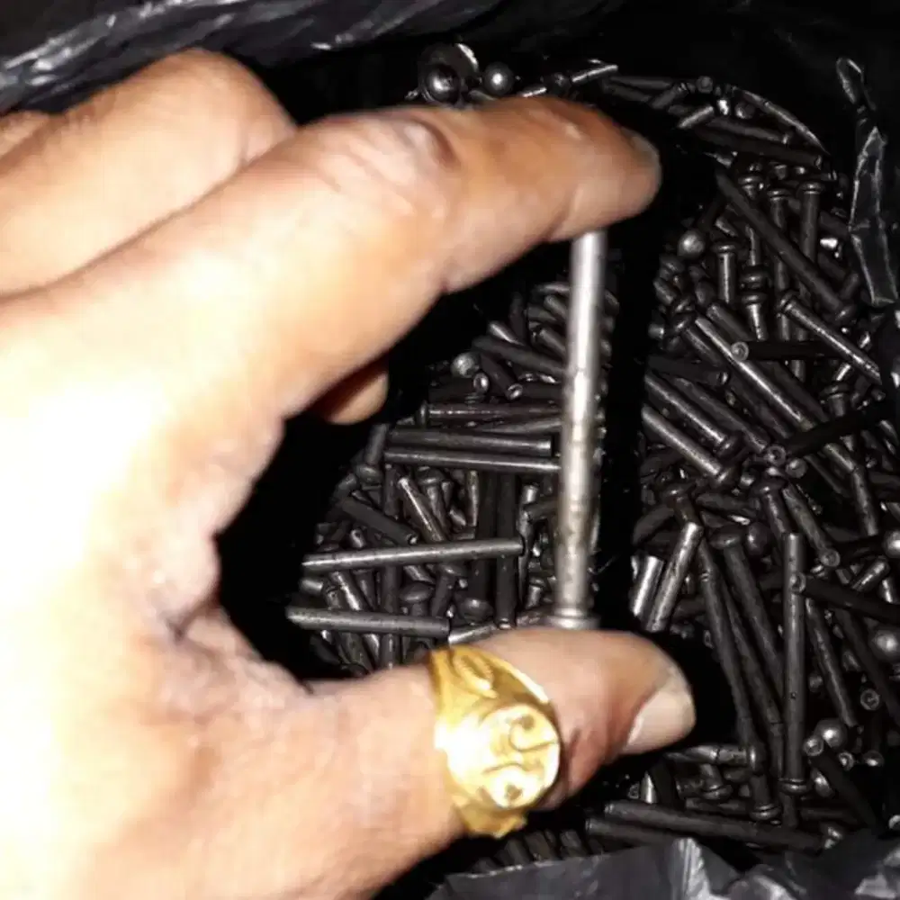 Distributor paku keling