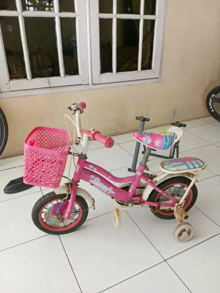 Sepeda anak perempuan (second)