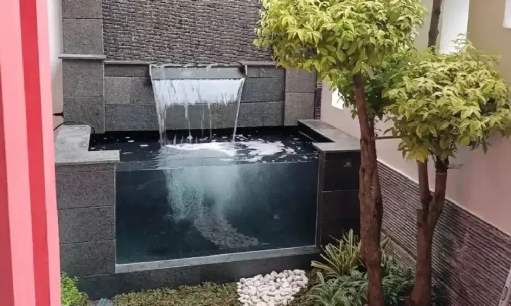 Membuat kolam ikan minimalis