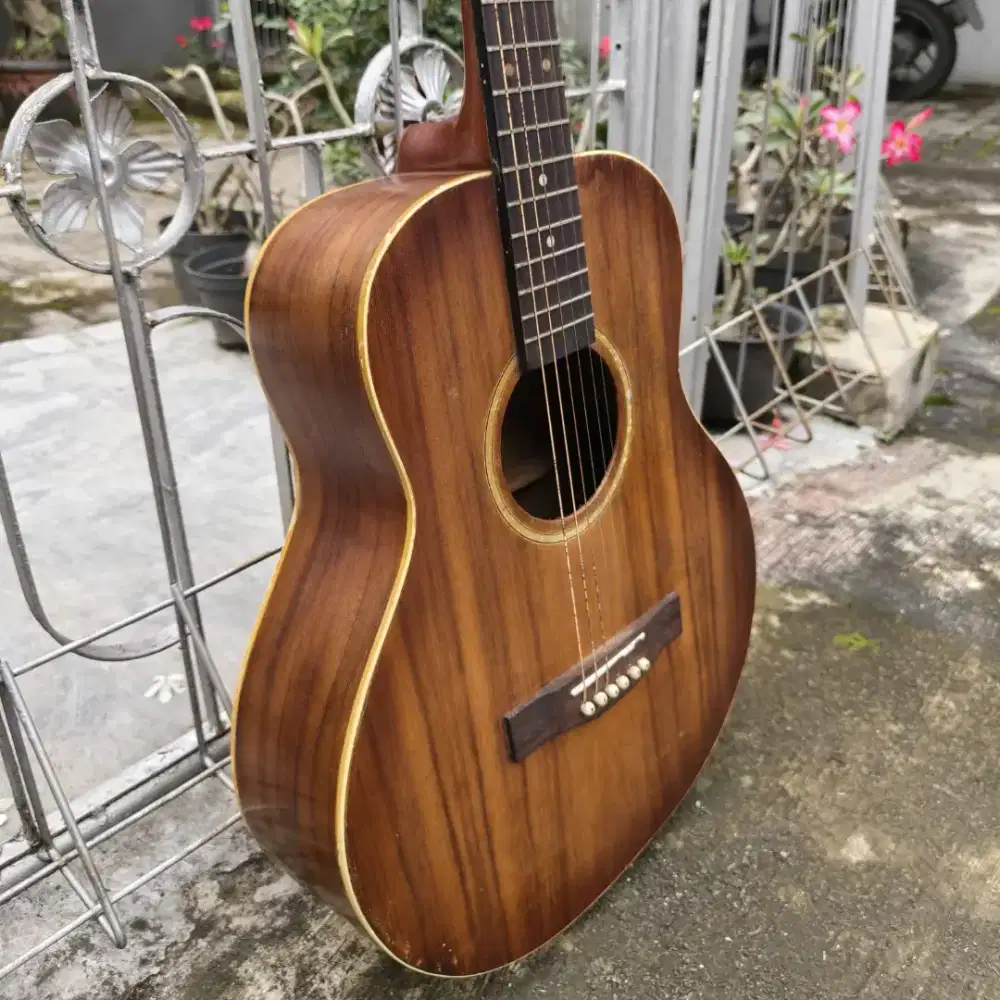 GITAR akustik Fender kece