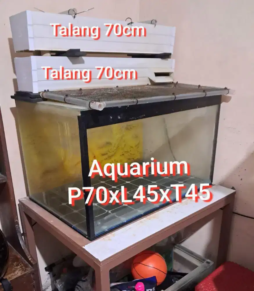 akuarium & Talang 2