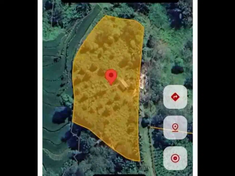 Tanah Desa Lembang Lohe Sinjai
Luas Tanah 3.375
Ada Pohon Durian Musang King, Cengkeh, Mangga, Pisang
Rp. 250 JT