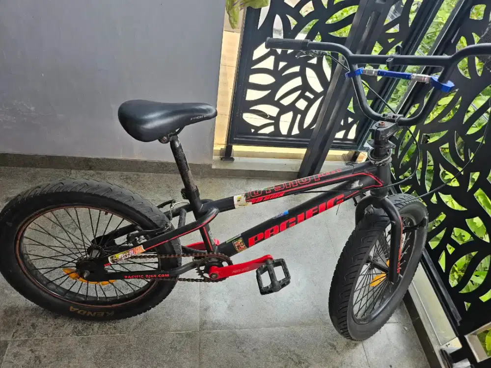 SEPEDA ANAK PACIFIC
