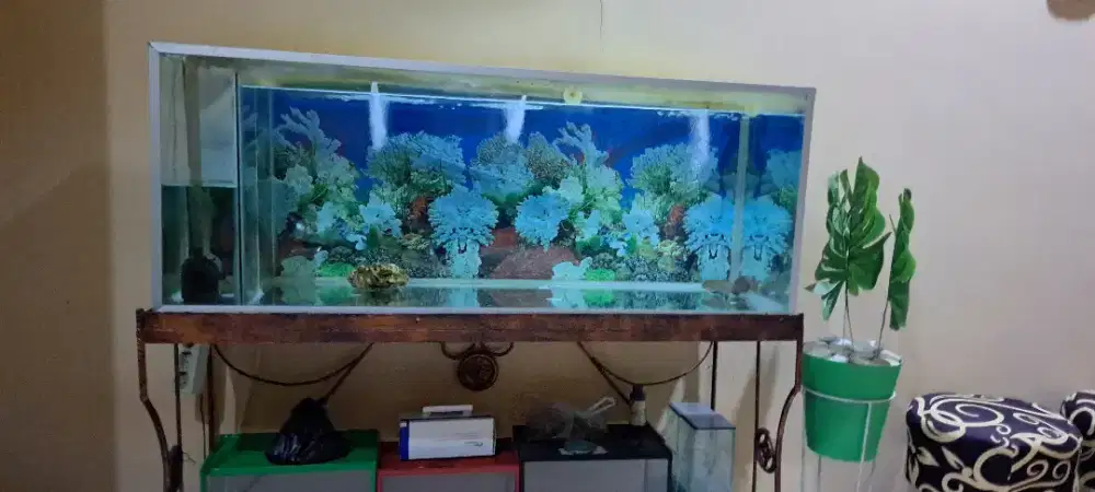 Jual Aquarium  full set