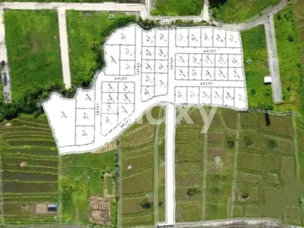 TANAH KAVLING VIEW SAWAH RAYA PANTAI KEDUNGU BELALANG KEDIRI TABANAN, BALI