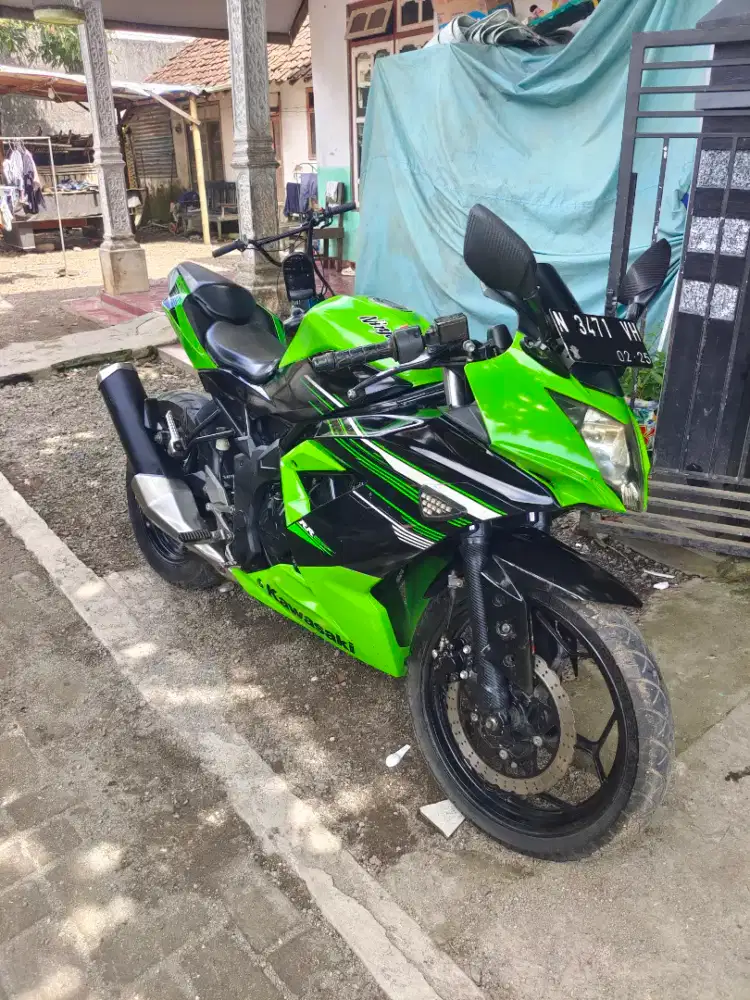 Ninja rr mono 250cc