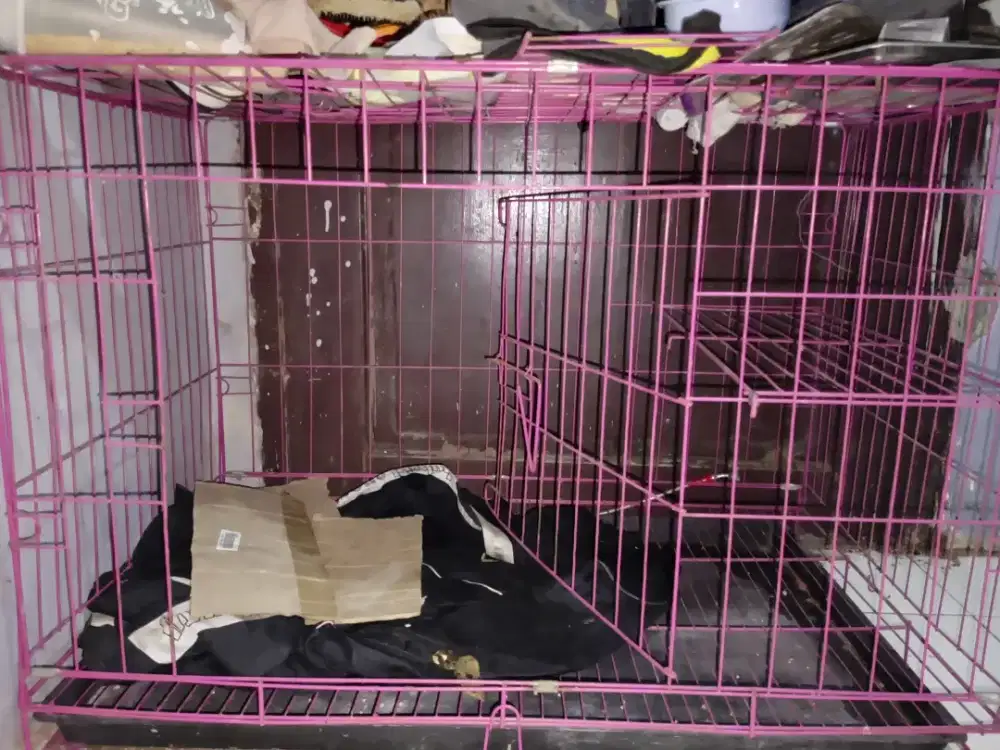 Kandang Kucing Ukuran 90×60×70