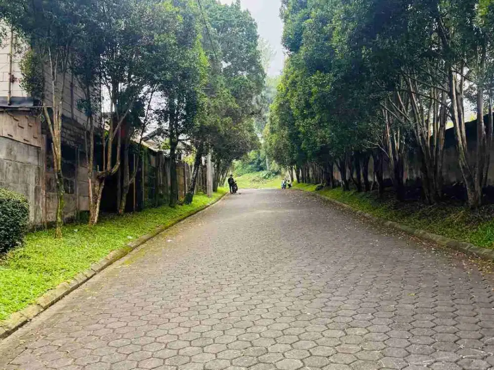 di jual tanah kebun siap bangun sejuk dan dingin di Cipanas cianjur