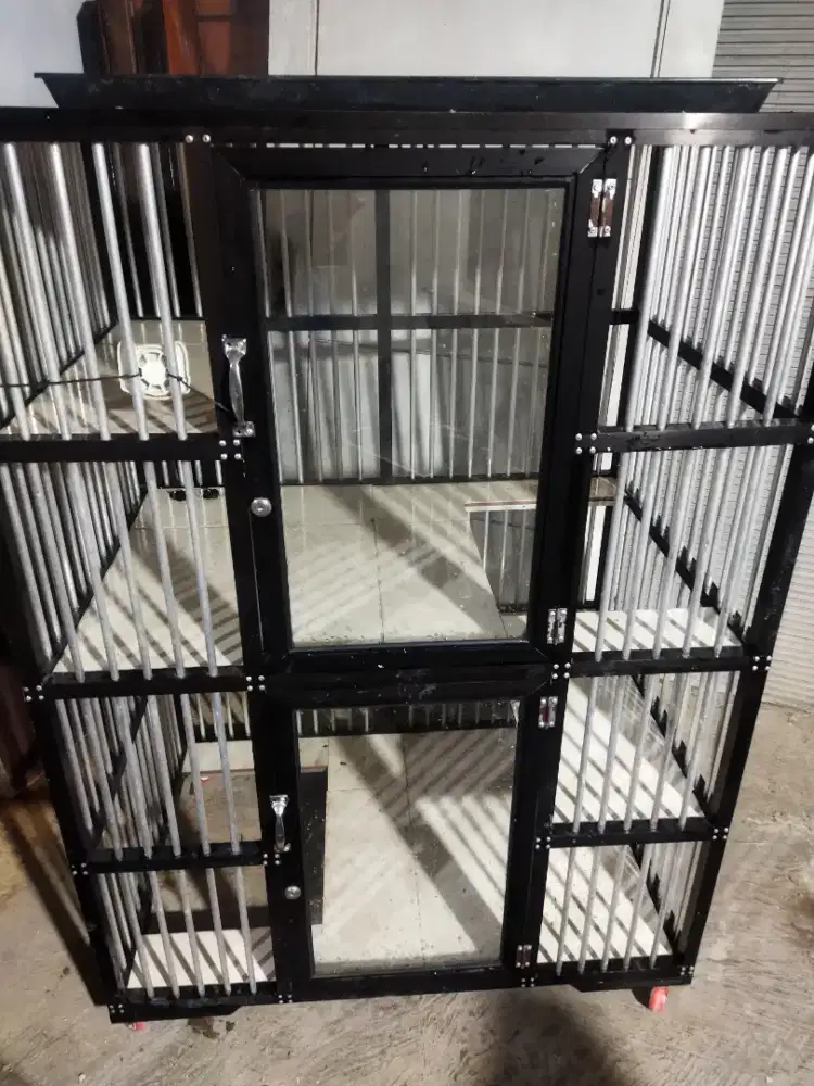 Kandang Kucing Peliharaan