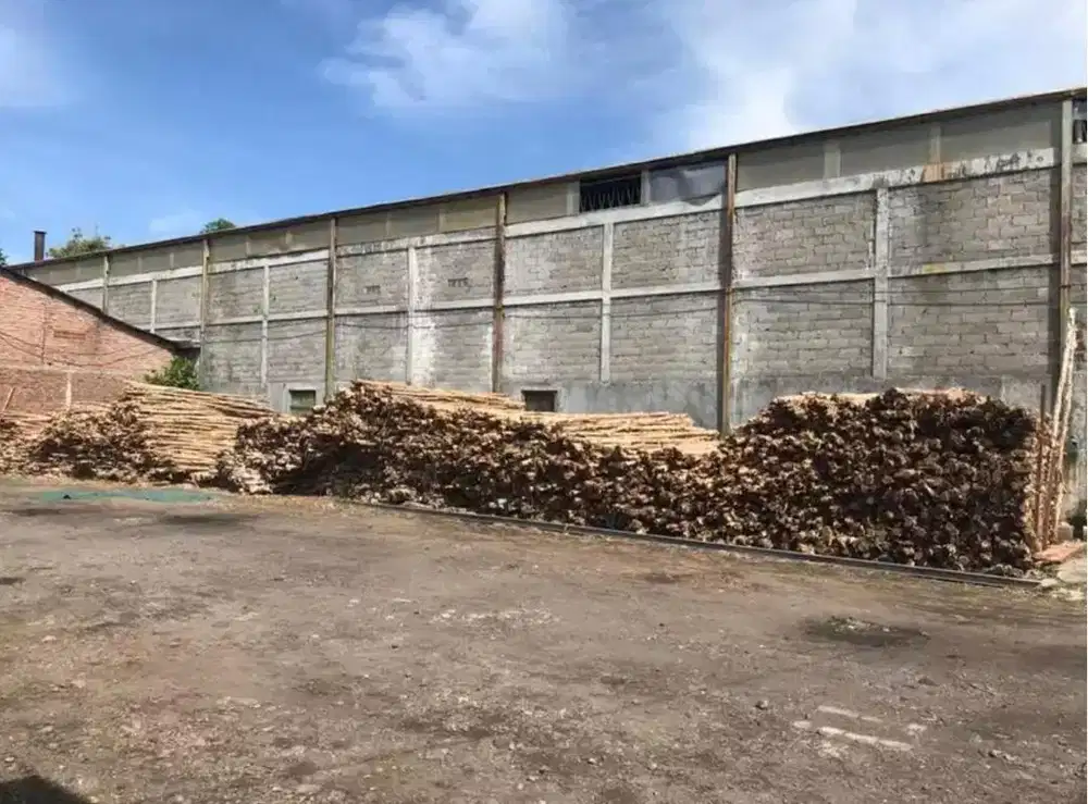 Kayu gelam/dolken surabaya