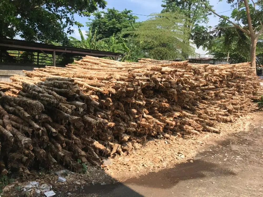 Kayu gelam murah gresik