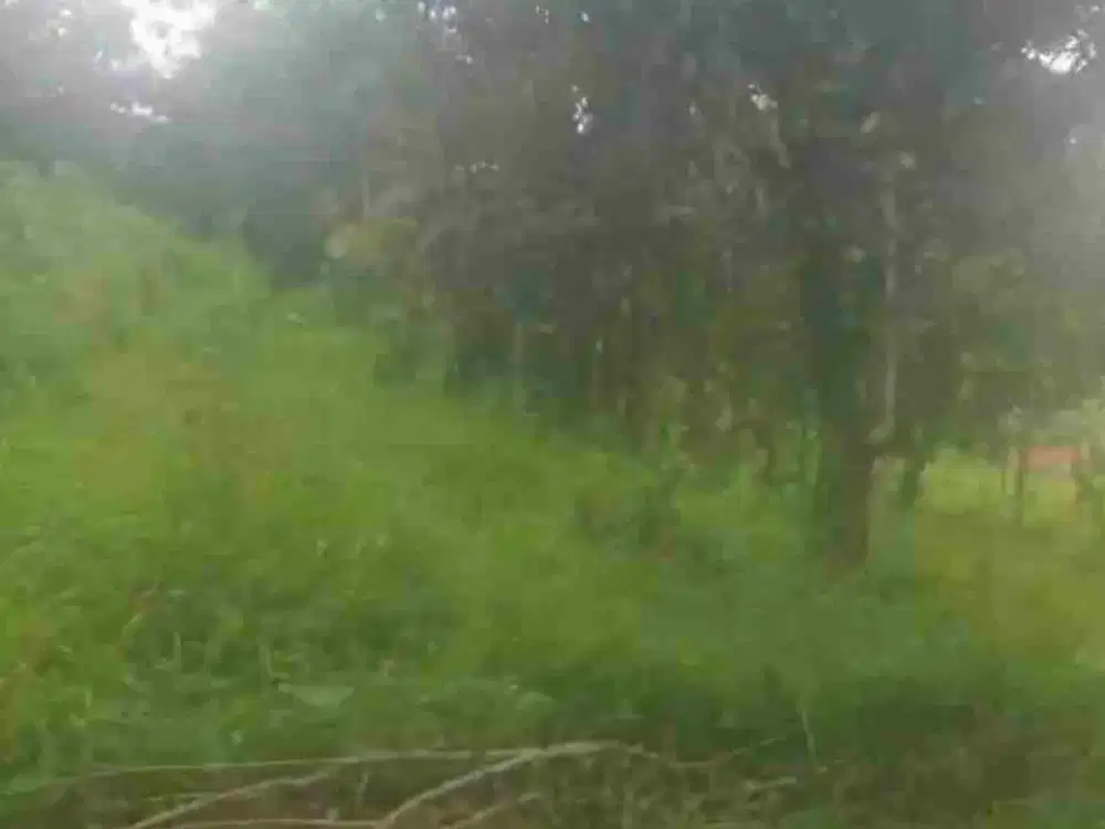 Tanah Dataran Tinggi Di Sumedang