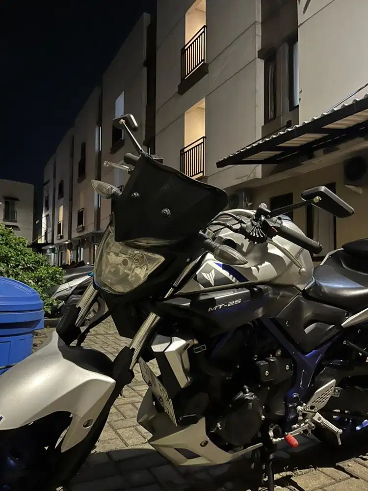 Yamaha Mt25 / MT 25 2015 low km