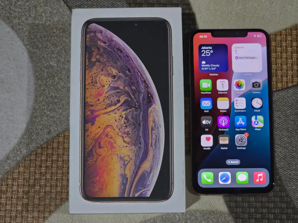 IPHONE XS MAX 256GB EXS INTER ALL OPERATOR