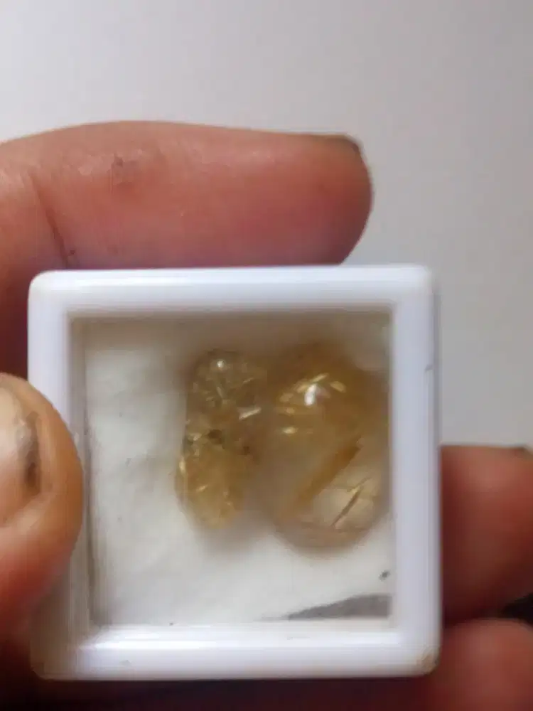 Rambut sedana cendana