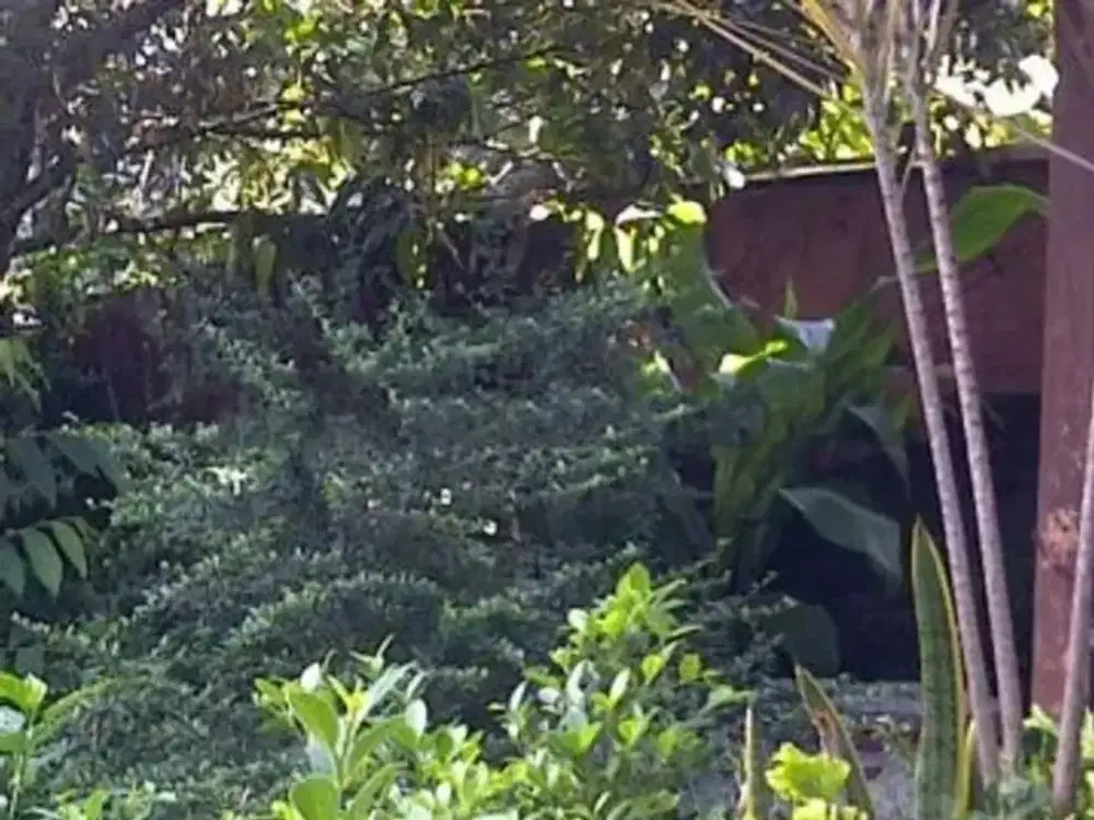 Kavling Strategis Daerah Lembang