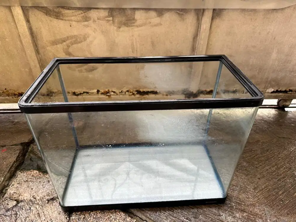 Aquarium Bahari Lengkung