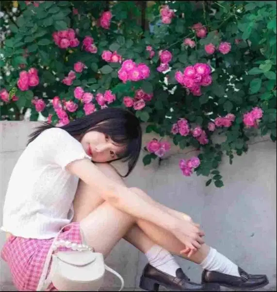 Sistem Informasi Akuntan pajak dan laporan keuangan ONLINE di Batam