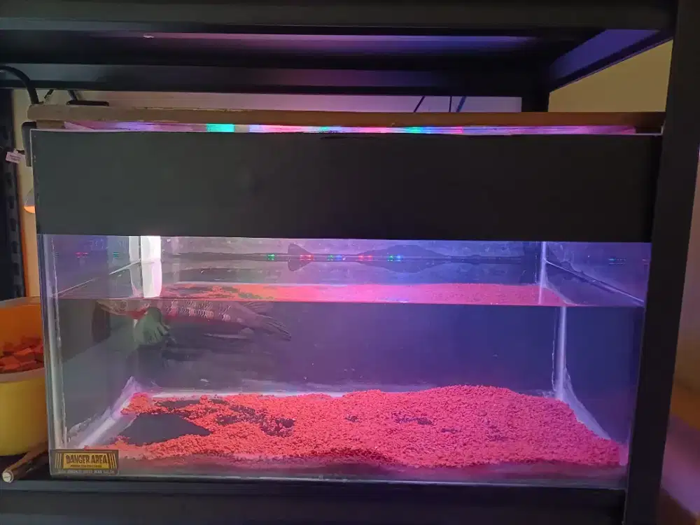 Aquarium 70x30x35 Backdrop Hitam doff