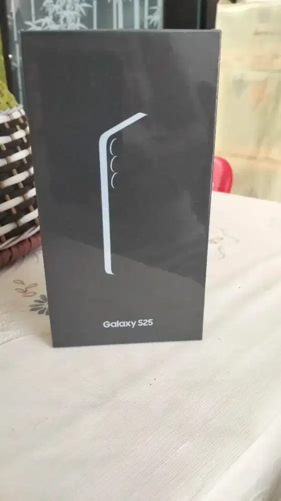 Samsung Galxy S25 Baru
