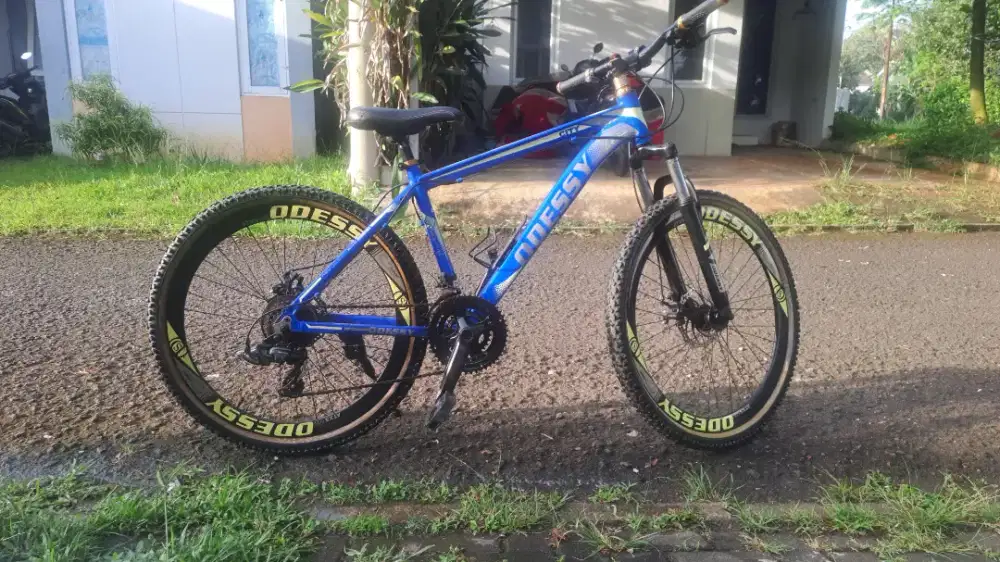 Sepeda gunung odessy