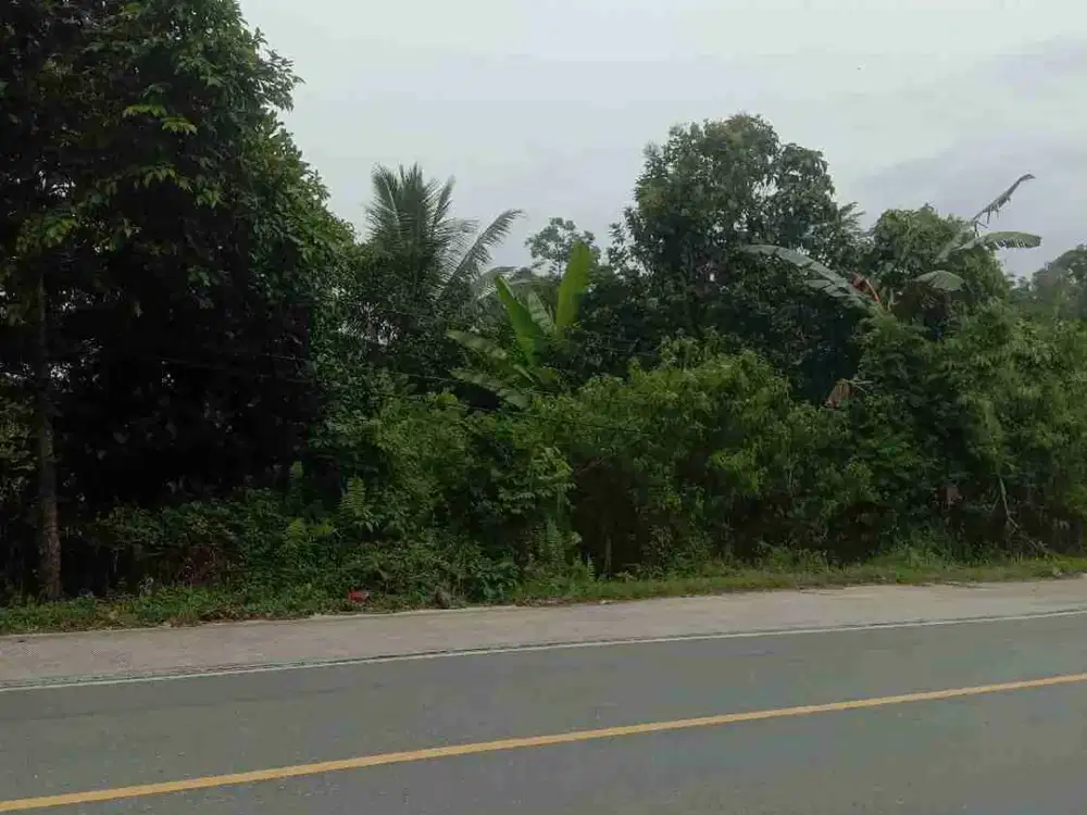 Tanah 3,5 H km 23 Balikpapan