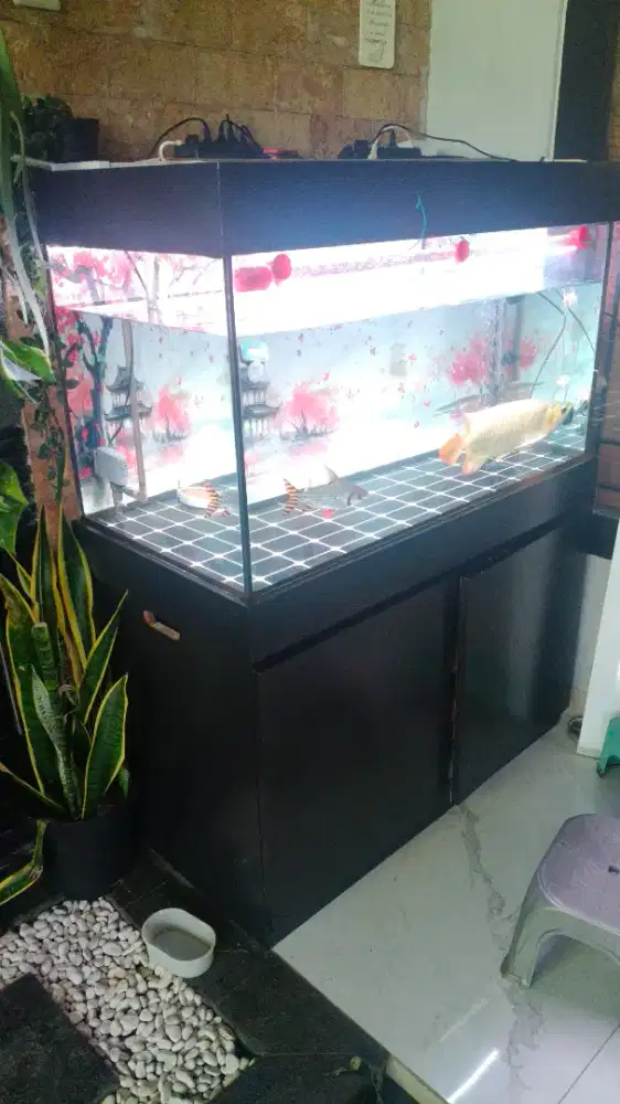 Aquarium kabinet 100x50x50