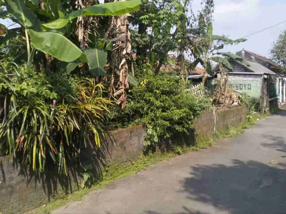 tanah Ngemplak Sleman