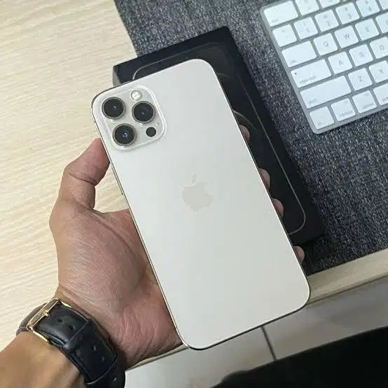 12 Pro Max 256 GB Cukai