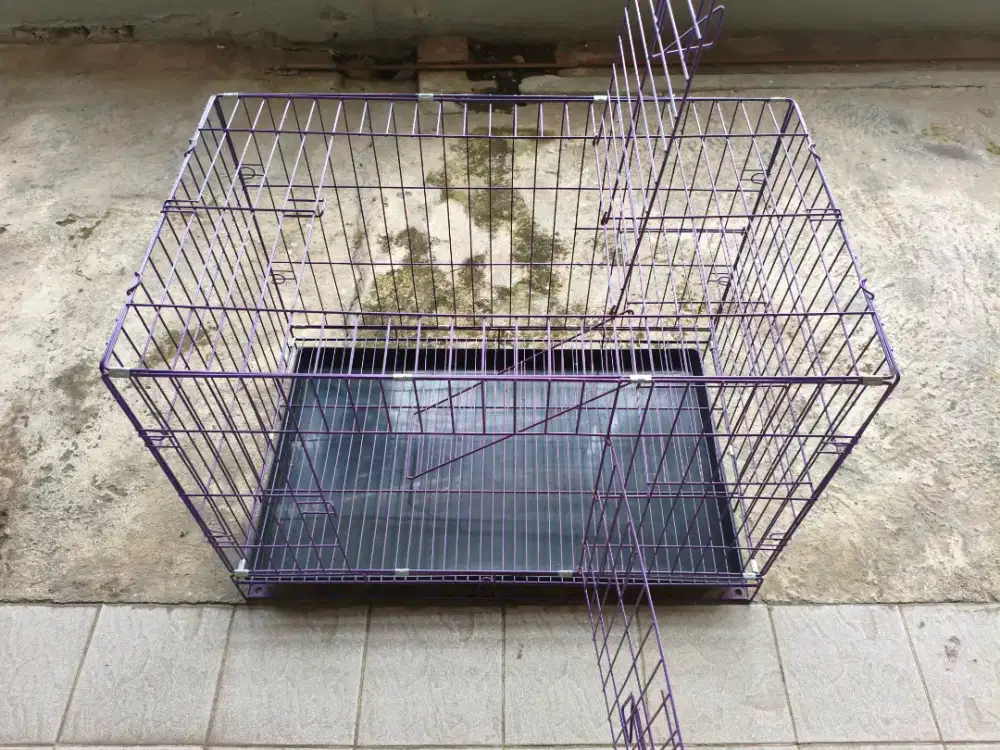 Kandang kucing, kelinci, musang