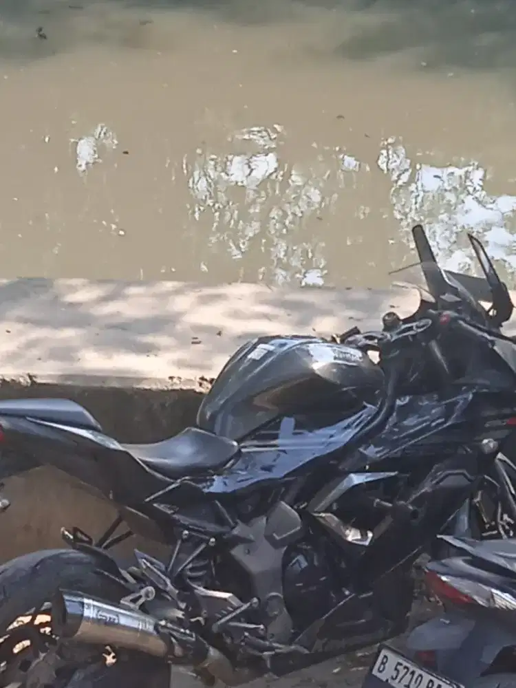 Kawasaki Ninja 250 mono