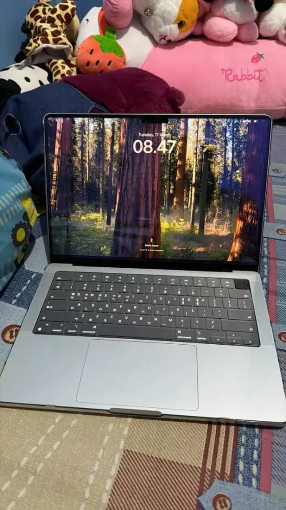 Macbook Pro M4 Ram 16gb