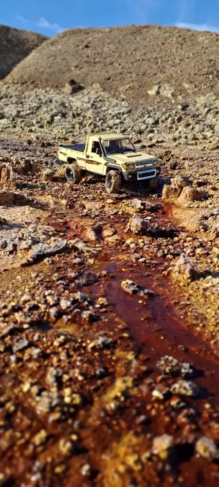 Remote control MN82 standard