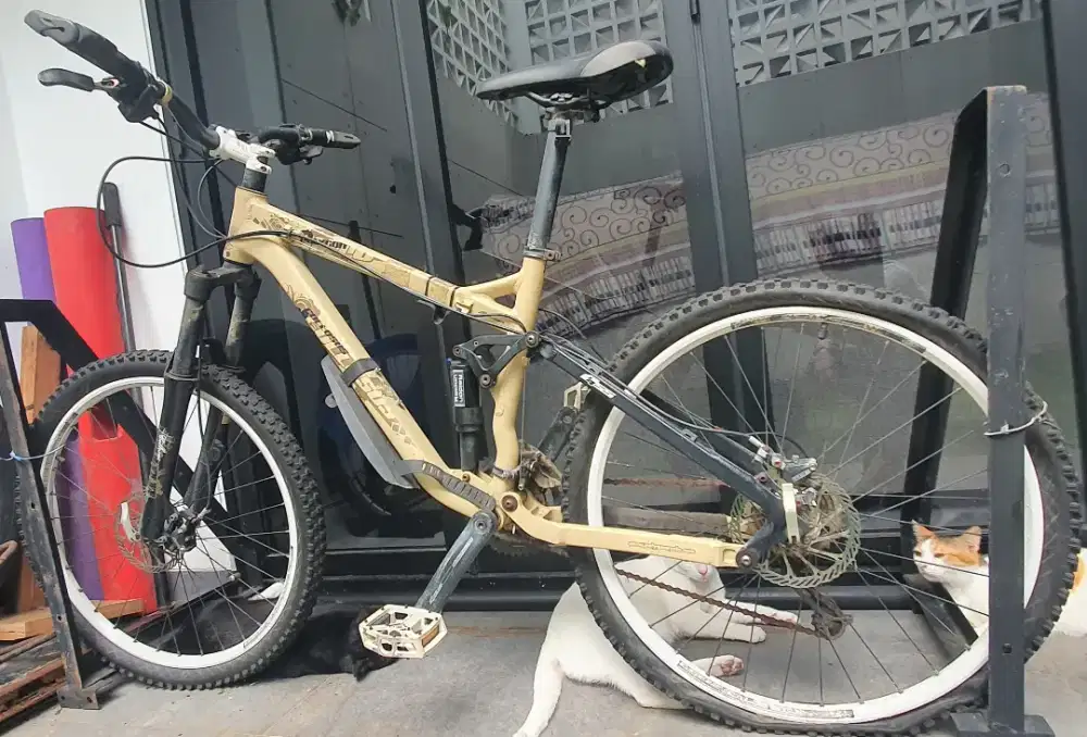 Polygon Collosus AX series