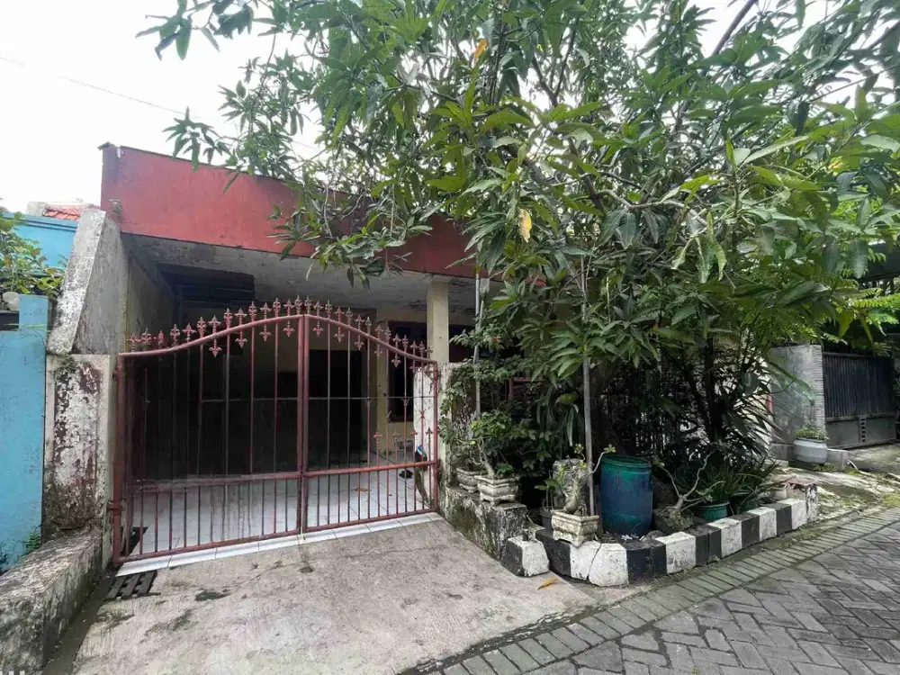 Dijual Murah Rumah Rungkut Menanggal Harapan Surabaya 1 Lantai Row Jalan 2 Mobil