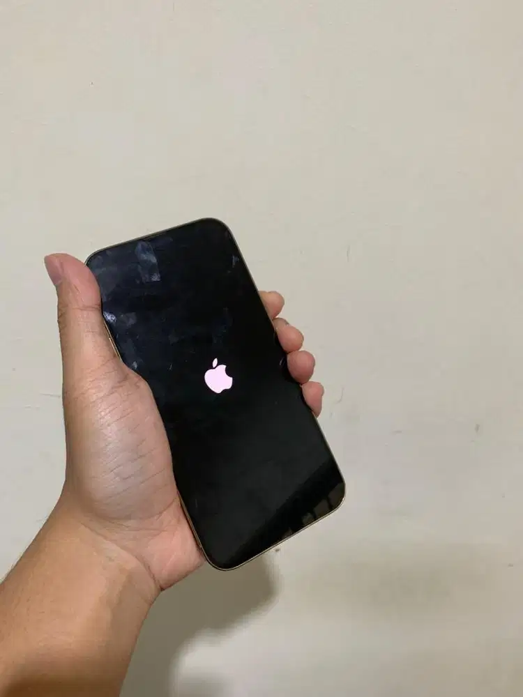 JUAL IPHONE 13 PROMAX, 256GB, GOLD, IBOX ORI DAN MURAH DI BALIKPAPAN