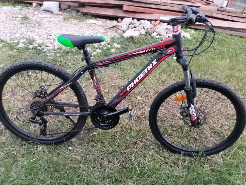 Jual MTB 24 in merk phoenix