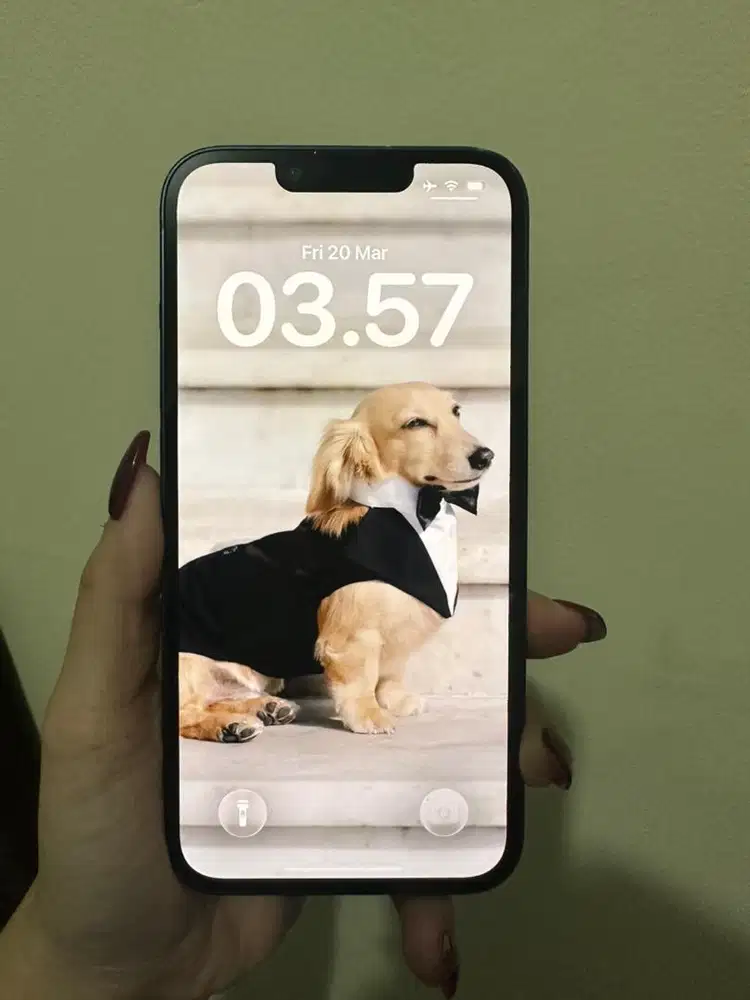 iPhone 13 256GB iBox