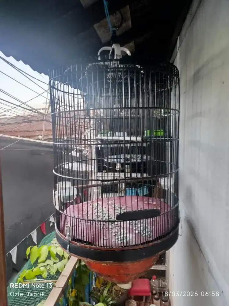 Kandang Murai No 2 Siap pakai