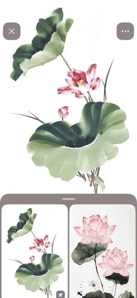 Supervisor (administrasi)