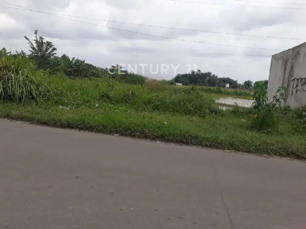 TANAH LUAS 6500 M² BAGUS DI DAERAH CIBARUSAH