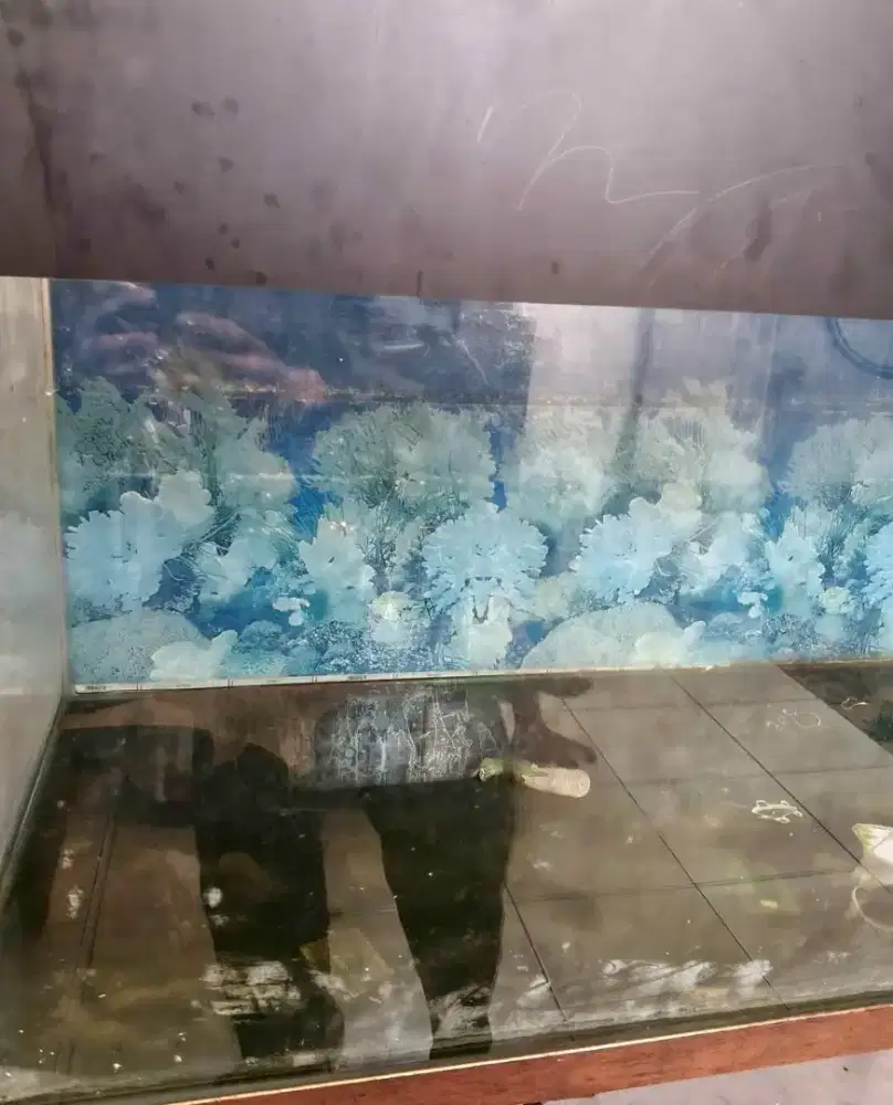 Aquarium 120x 50×50