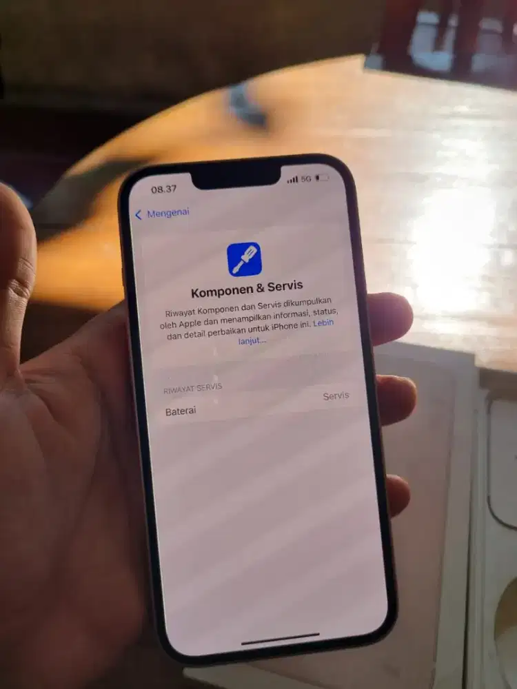 iPhone 13 warna pink iBox
