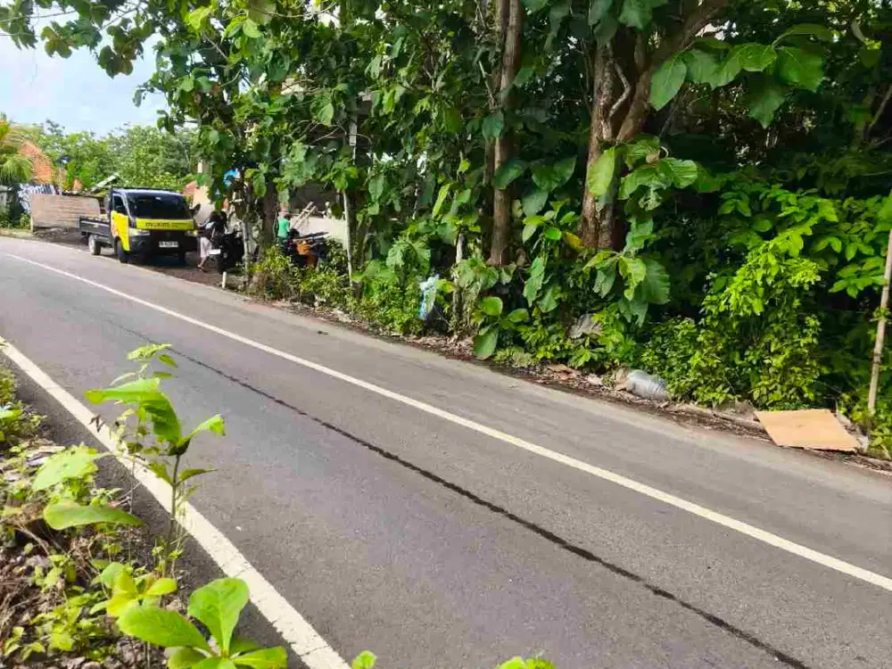 dijual tanah 1138m²  IDR 600 juta per are  jln utama pantai Balangan Jimbaran Kuta Selatan Badung Bali