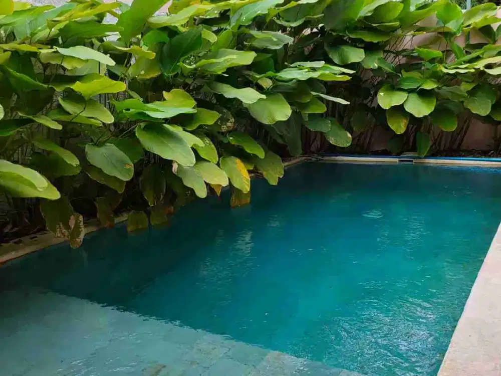 disewakan Tahunan villa 3 bedroom fully furnished dipurigading jimbaran Kuta Selatan Badung Bali